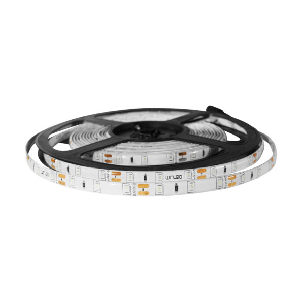 TIRA 300 LEDS 2835 EXTERIOR AZUL - LumyventJC