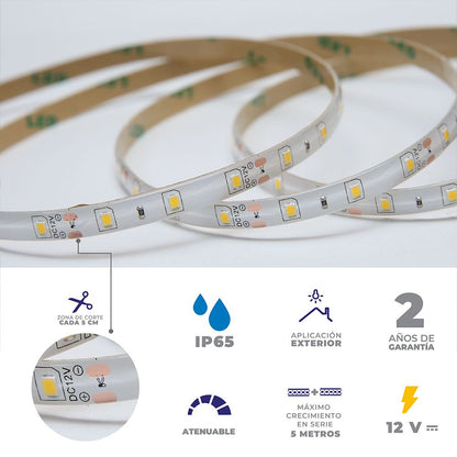 H-TLED-60-IP65-5050/LD Tira flexible 60 LEDs por metro, 5050 SMD