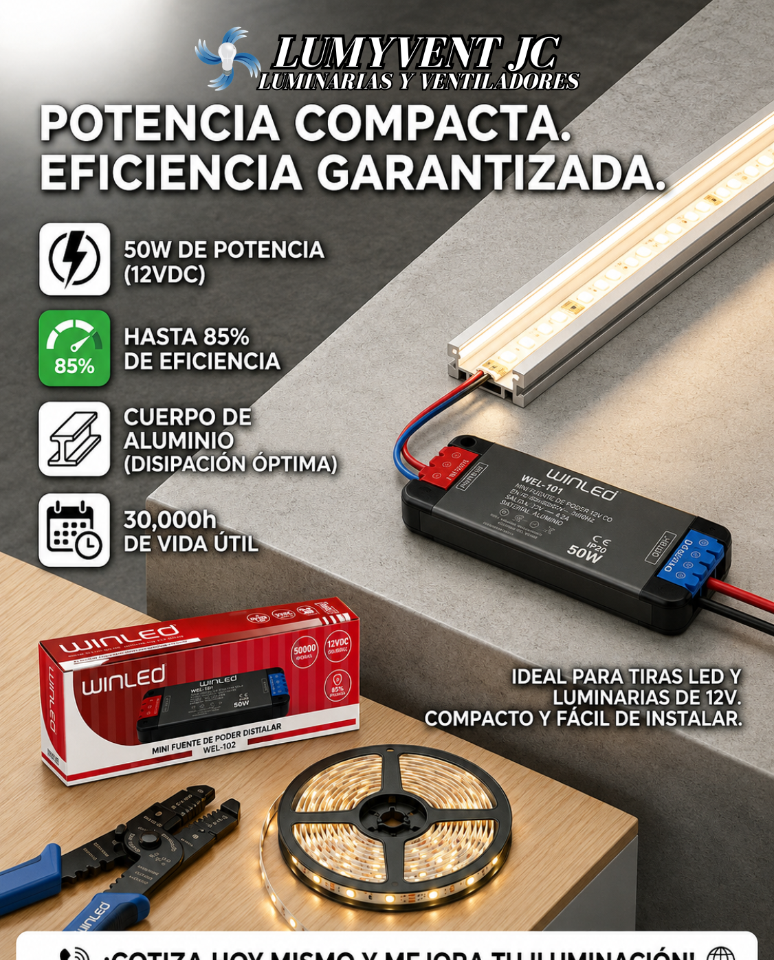 WEL-102 MINI FUENTE DE PODER 50W 12VCD DE SALIDA