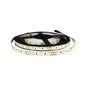 WTI-012 TIRA 300 LEDS 5050 5M 72W INTERIOR BLANCO FRIO - LumyventJC