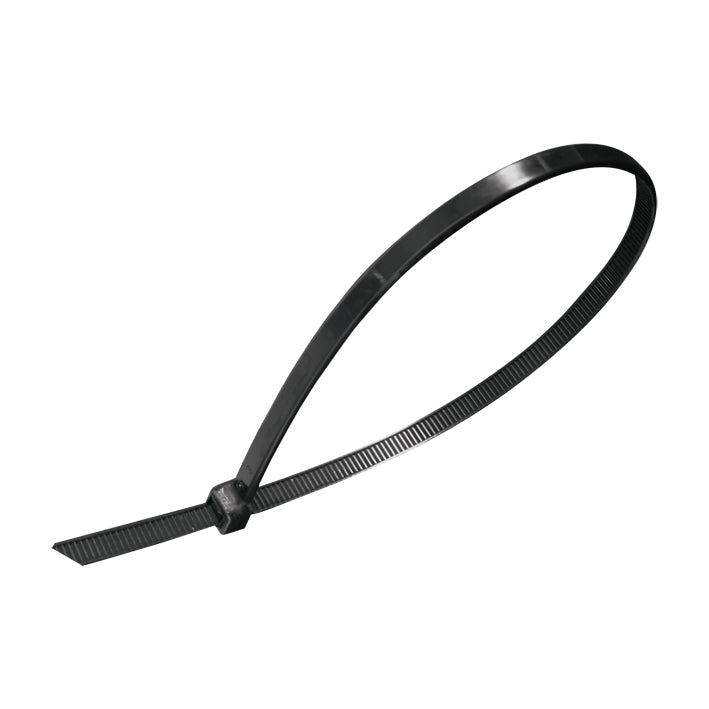 103013 cincho de plástico 200 x 4.6 mm